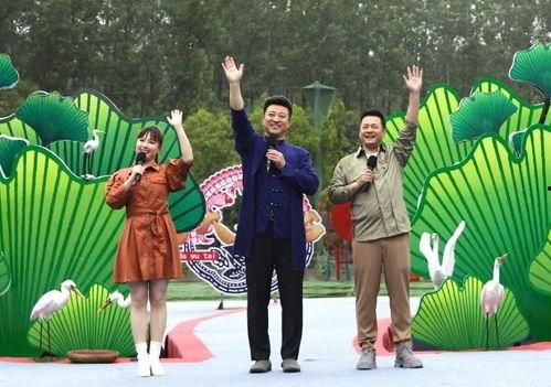 新乡都市爆料新闻视频最新,揭秘事件背后真相